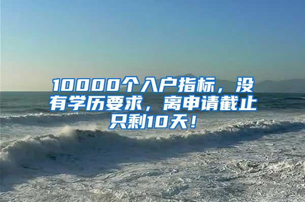 10000个入户指标，没有学历要求，离申请截止只剩10天！