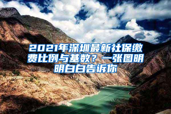 2021年深圳最新社保缴费比例与基数？一张图明明白白告诉你