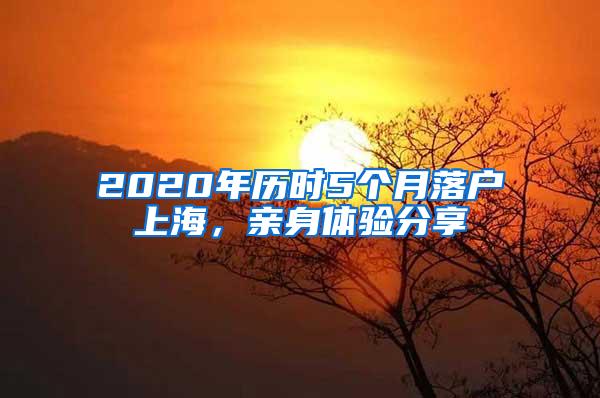 2020年历时5个月落户上海，亲身体验分享