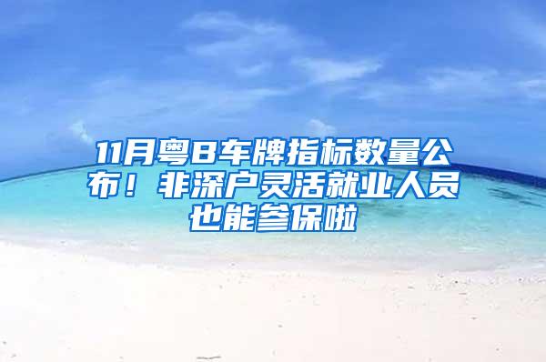 11月粤B车牌指标数量公布！非深户灵活就业人员也能参保啦