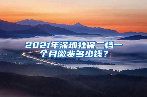 2021年深圳社保二档一个月缴费多少钱？