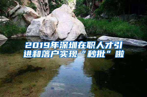 2019年深圳在职人才引进和落户实现“秒批”啦