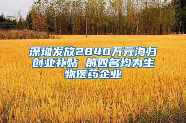 深圳发放2840万元海归创业补贴 前四名均为生物医药企业