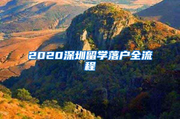 2020深圳留学落户全流程