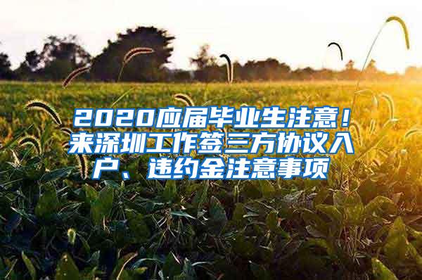 2020应届毕业生注意！来深圳工作签三方协议入户、违约金注意事项