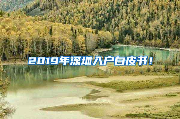 2019年深圳入户白皮书！