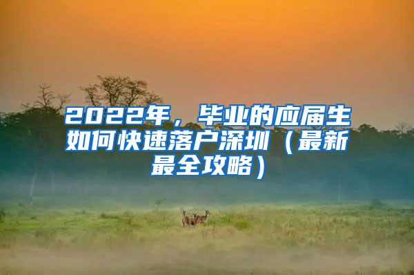 2022年，毕业的应届生如何快速落户深圳（最新最全攻略）