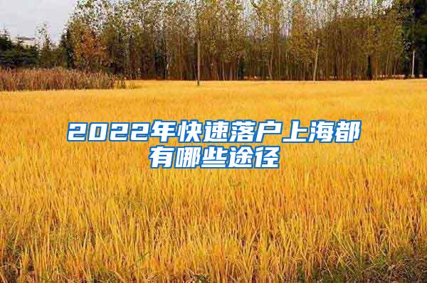 2022年快速落户上海都有哪些途径