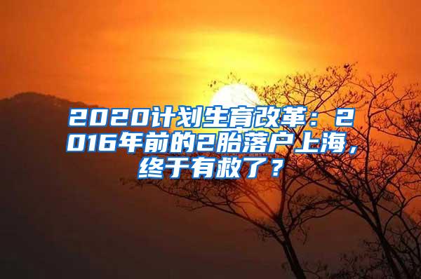 2020计划生育改革：2016年前的2胎落户上海，终于有救了？