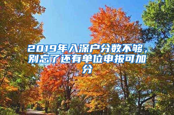 2019年入深户分数不够，别忘了还有单位申报可加分