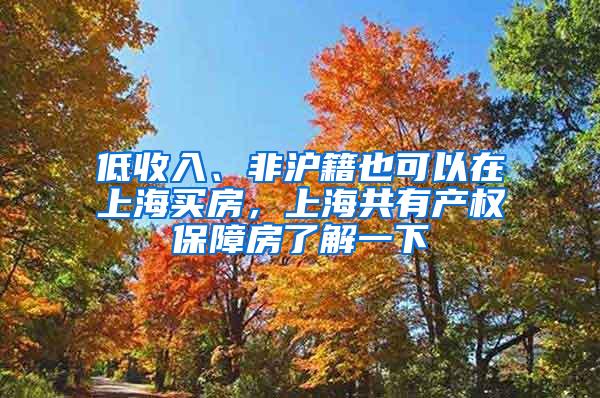低收入、非沪籍也可以在上海买房，上海共有产权保障房了解一下