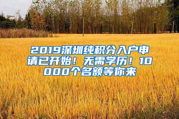 2019深圳纯积分入户申请已开始！无需学历！10000个名额等你来