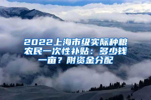 2022上海市级实际种粮农民一次性补贴：多少钱一亩？附资金分配