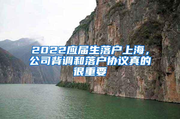 2022应届生落户上海，公司背调和落户协议真的很重要