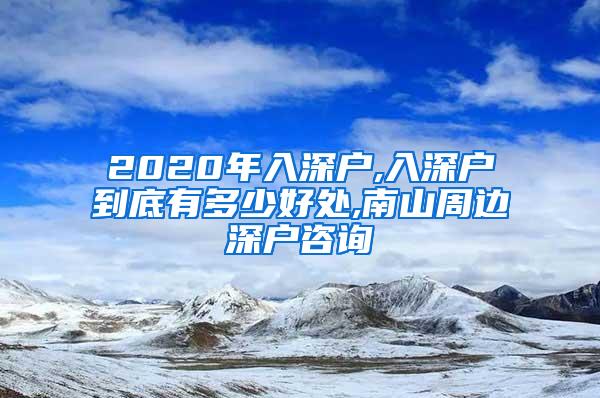 2020年入深户,入深户到底有多少好处,南山周边深户咨询