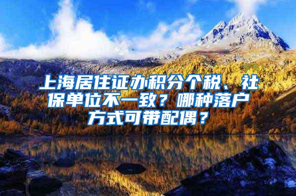 上海居住证办积分个税、社保单位不一致？哪种落户方式可带配偶？