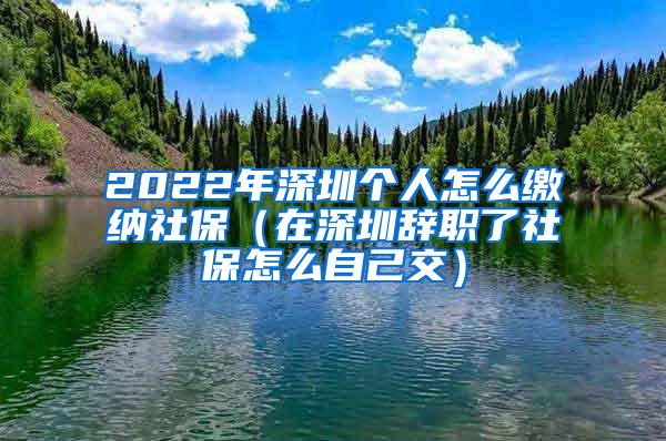 2022年深圳个人怎么缴纳社保（在深圳辞职了社保怎么自己交）