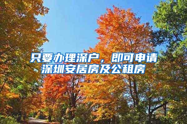 只要办理深户，即可申请深圳安居房及公租房