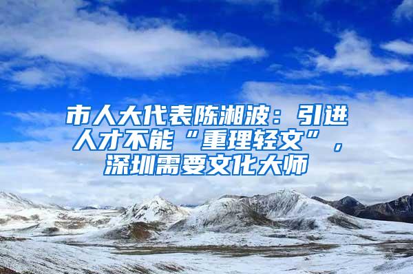 市人大代表陈湘波：引进人才不能“重理轻文”，深圳需要文化大师