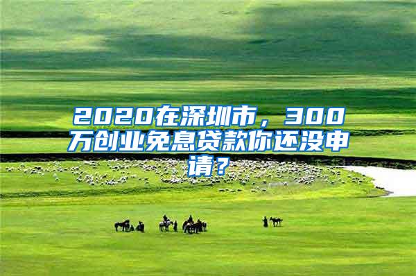 2020在深圳市，300万创业免息贷款你还没申请？