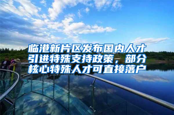 临港新片区发布国内人才引进特殊支持政策，部分核心特殊人才可直接落户