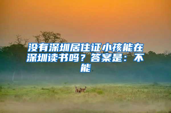 没有深圳居住证小孩能在深圳读书吗？答案是：不能