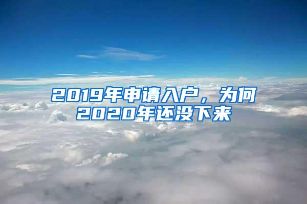 2019年申请入户，为何2020年还没下来