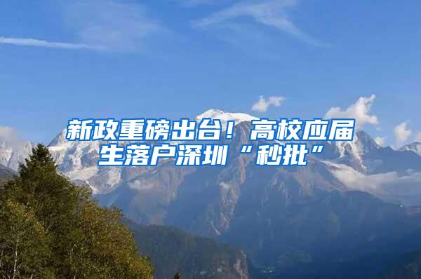 新政重磅出台！高校应届生落户深圳“秒批”