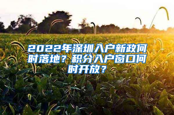 2022年深圳入户新政何时落地？积分入户窗口何时开放？