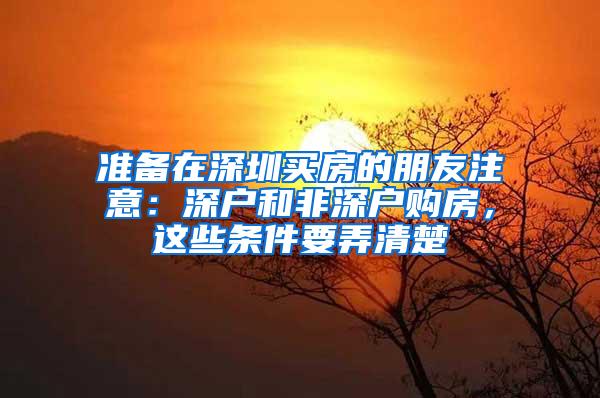 准备在深圳买房的朋友注意：深户和非深户购房，这些条件要弄清楚