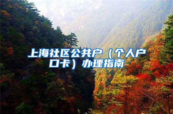 上海社区公共户（个人户口卡）办理指南