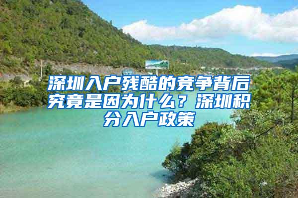 深圳入户残酷的竞争背后究竟是因为什么？深圳积分入户政策