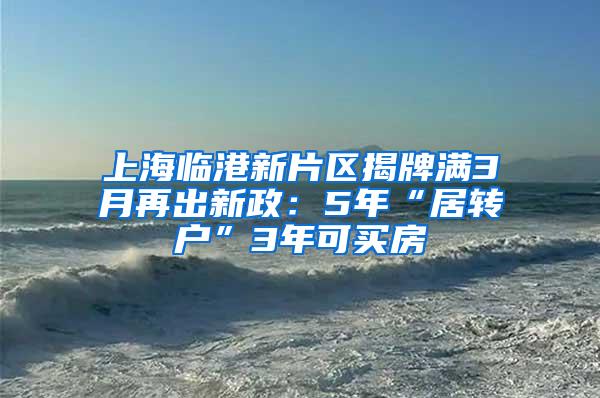 上海临港新片区揭牌满3月再出新政：5年“居转户”3年可买房