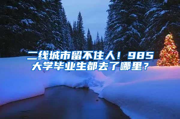 二线城市留不住人！985大学毕业生都去了哪里？