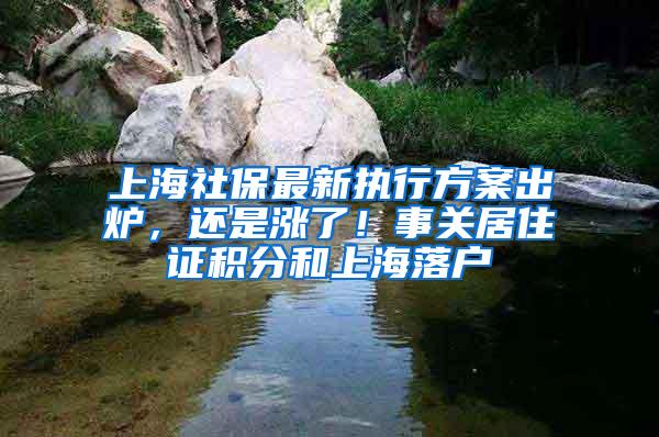 上海社保最新执行方案出炉，还是涨了！事关居住证积分和上海落户