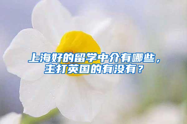 上海好的留学中介有哪些，主打英国的有没有？