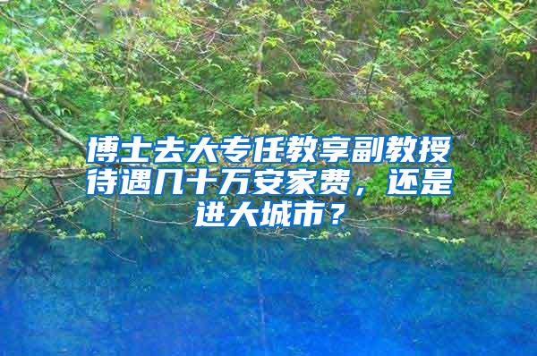 博士去大专任教享副教授待遇几十万安家费，还是进大城市？