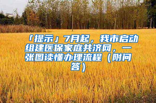 「提示」7月起，我市启动组建医保家庭共济网，一张图读懂办理流程（附问答）