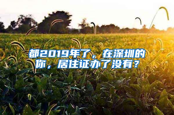 都2019年了，在深圳的你，居住证办了没有？