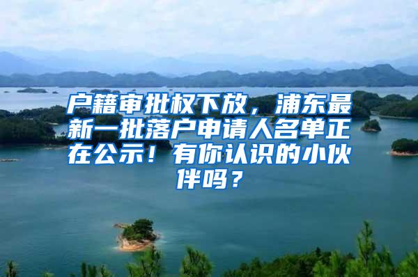 户籍审批权下放，浦东最新一批落户申请人名单正在公示！有你认识的小伙伴吗？