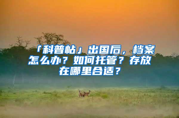 「科普帖」出国后，档案怎么办？如何托管？存放在哪里合适？