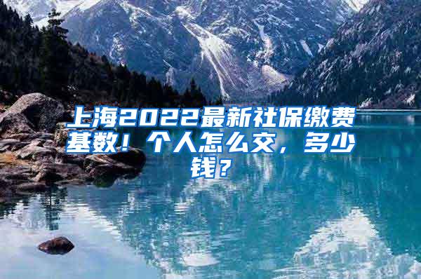 上海2022最新社保缴费基数！个人怎么交，多少钱？