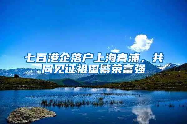 七百港企落户上海青浦，共同见证祖国繁荣富强