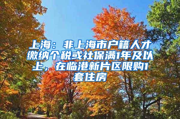 上海：非上海市户籍人才缴纳个税或社保满1年及以上，在临港新片区限购1套住房