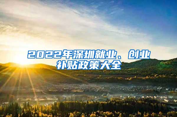 2022年深圳就业、创业补贴政策大全