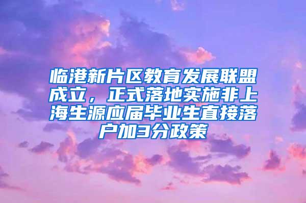 临港新片区教育发展联盟成立，正式落地实施非上海生源应届毕业生直接落户加3分政策