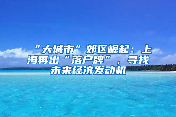 “大城市”郊区崛起：上海再出“落户牌”，寻找未来经济发动机