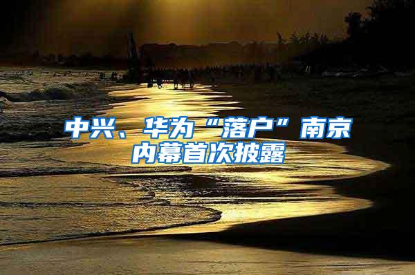 中兴、华为“落户”南京内幕首次披露