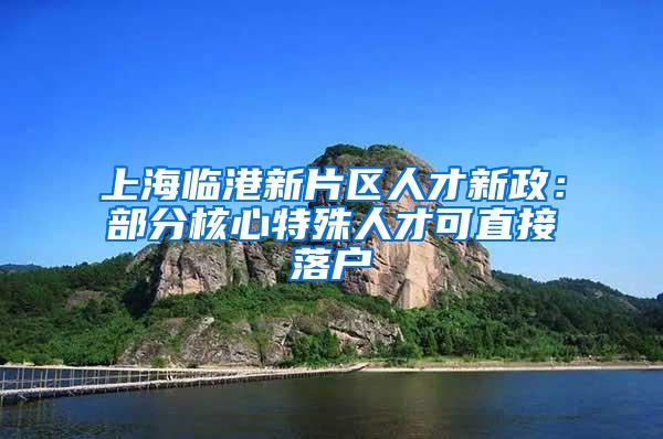 上海临港新片区人才新政：部分核心特殊人才可直接落户