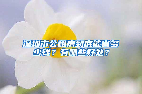 深圳市公租房到底能省多少钱？有哪些好处？